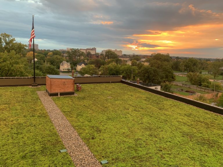Green Roof sunrise - Inhabitect