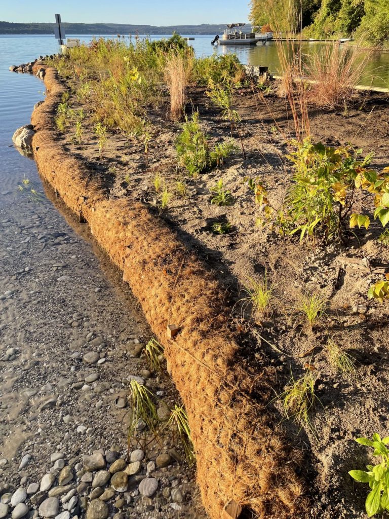 Natural shoreline - coir logs - Inhabitect
