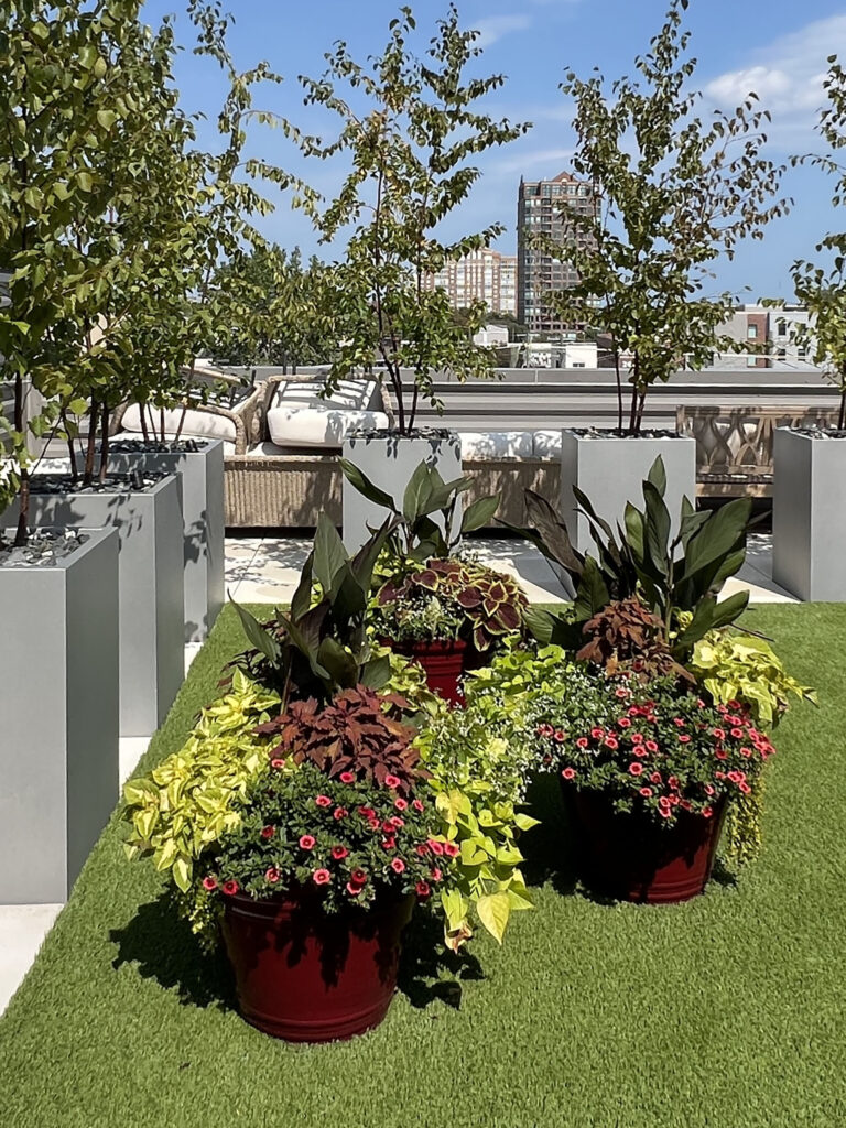 Detroit Residence - Rooftop Living - Inhabitect