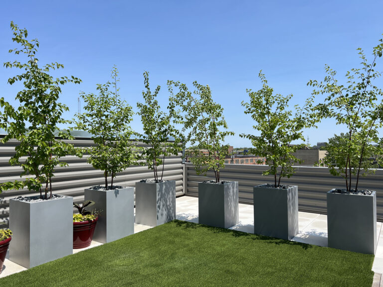 Detroit Residence - Rooftop Living - Inhabitect