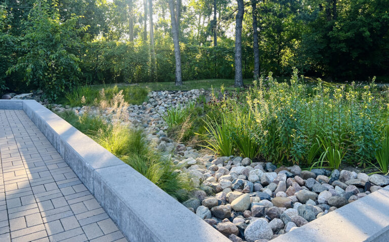 Rain Garden