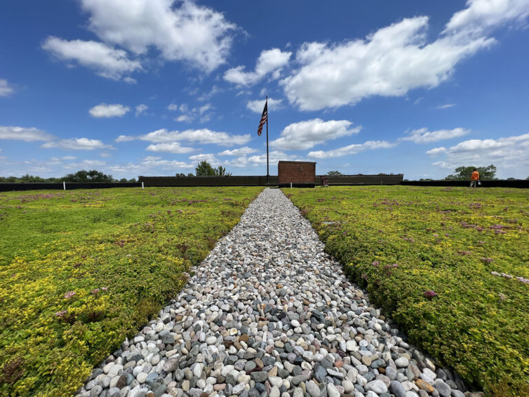 Rain Garden