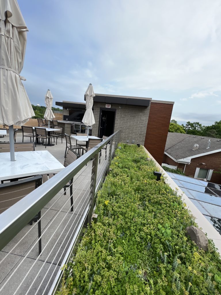 The Exchange - Northville, MI (Greenroof and pavers by Inhabitect)