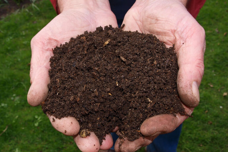 seeds-1-community-outreach-inhabitect