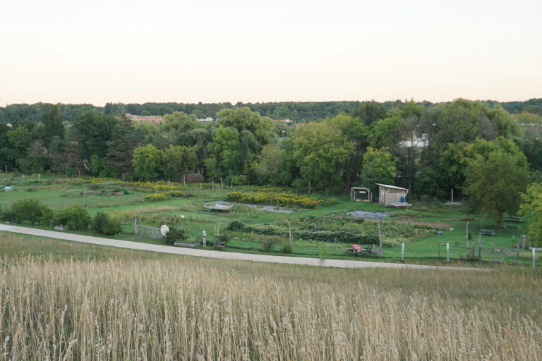 seeds-2-community-outreach-inhabitect