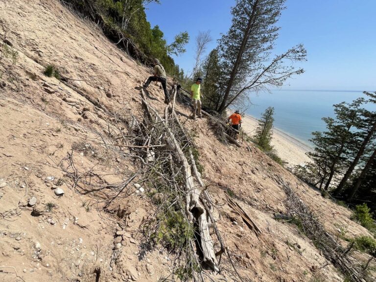 Frankfort Bluff Project