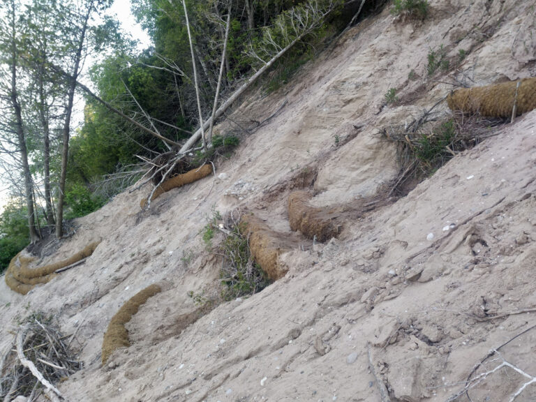 Frankfort Bluff Project