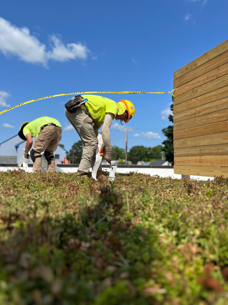 green roof at butters in berkley mi