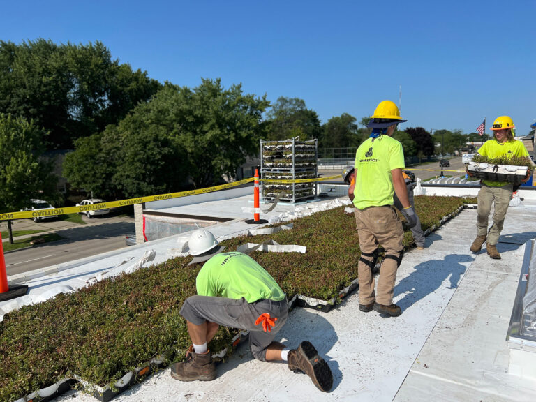 green roof at butters in berkley mi