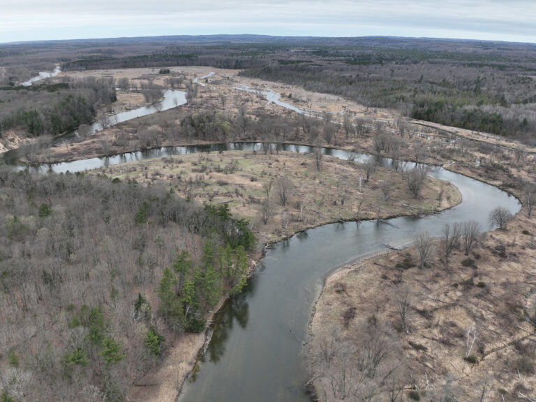 Manistee River Riparian Project