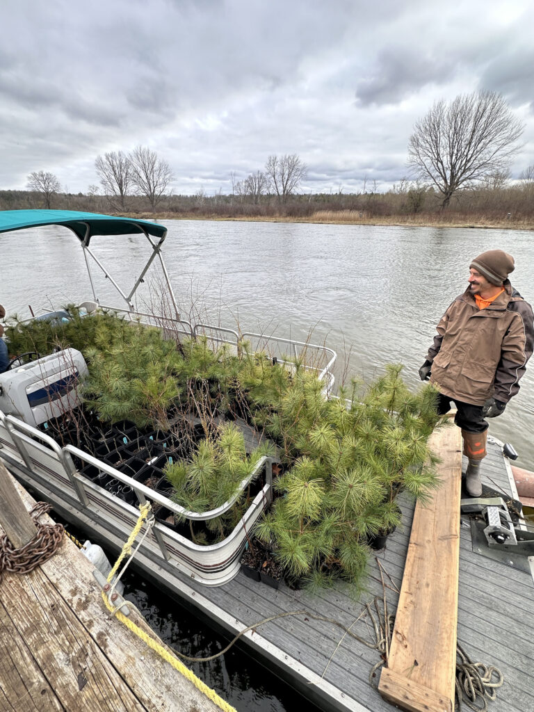 Manistee River Riparian Project