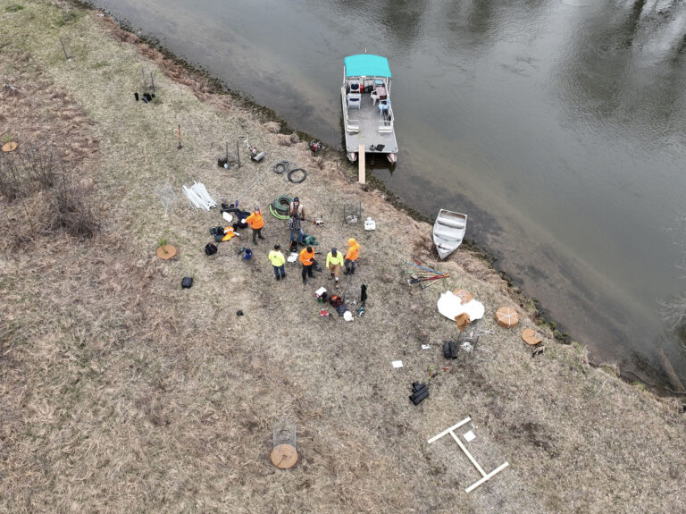 Manistee River Riparian Project
