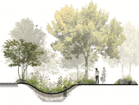 Rain Garden solution (1)